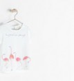 /products/camiseta-flamencos-/